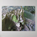 Zoek naar groei posters Tropen