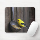 Recherche de pinsons tapis souris Oiseau