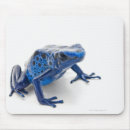 Recherche de blooded tapis souris Animaux