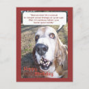 Recherche de contrebasse cartes postales Chien