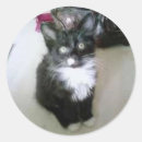 Recherche de réalisme autocollants Noir