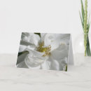 Zoek naar rosa kaarten Bloemen