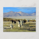 Recherche de chilien cartes postales Amérique du sud