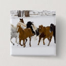 Recherche de galop badges Cheval
