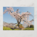 Recherche de kyoto cartes postales Culture japonaise