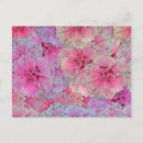 Recherche de oeillet cartes postales Floral