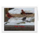 Recherche de occasion photographie Hiver