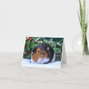 Recherche de porc noël cartes Guinée