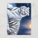 Recherche de tigre blanc cartes postales Neige