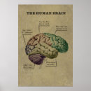 Recherche de les années 1900 posters Classique