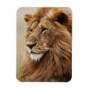 Recherche de mâle magnets Adam jones