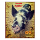 Recherche de cochon posters Animal de ferme