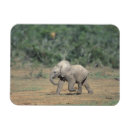 Recherche de parc du sud magnets Nature