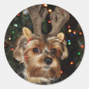 Recherche de yorkies autocollants Noël
