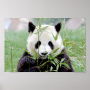 Recherche de géants posters Asie