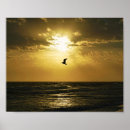 Zoek naar zeemeeuwen posters Ocean
