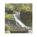 Recherche de fougères blocsnotes Paysage