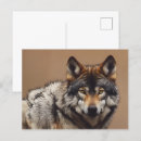 Recherche de portrait de loup cartes postales Sauvage