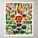 Recherche de adolphe millot posters Botanique