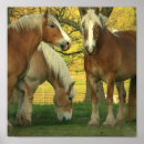 Recherche de cheval de palomino posters Chevaux