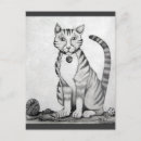 Zoek naar tomcat briefkaarten Tabby