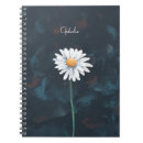 Recherche de illustrations de fleur Marguerite