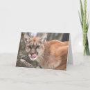 Recherche de cougar vœux cartes Gros chat