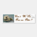 Recherche de loutre voiture autocollants Nature
