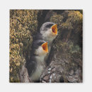 Recherche de hirondelle magnets Vertical