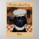 Zoek naar newfoundlander posters Newfoundlandhond kerstcadeaus