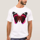 Recherche de amiral rouge Animal
