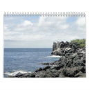 Recherche de tortue calendriers Nature