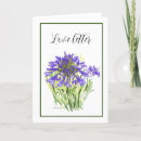 Recherche de agapanthus cartes postales Botanique