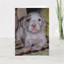 Zoek naar engelse kaarten Puppy