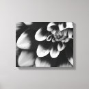 Recherche de fleurs noires et blanches toiles Botanique