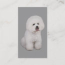 Recherche de la frise cartes visite Frise de bichon