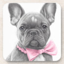 Recherche de chiot bar Dog