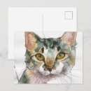 Recherche de fourrure animale cartes postales Félin