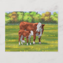 Recherche de éleveur cartes postales Vache