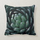 Recherche de agave coussins Botanique