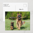 Recherche de gonflé cartes postales Mignon
