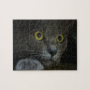 Zoek naar katachtig puzzels Katje