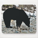 Recherche de ours noirs tapis souris Faune