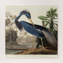 Zoek naar audubon puzzels Vogels van amerika