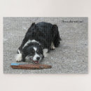 Recherche de border collie puzzles Pour tous