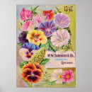 Zoek naar negentiende eeuw posters Bloemen