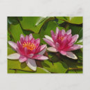 Recherche de mensonges cartes postales Jardin