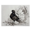 Recherche de pigeons posters Oiseau