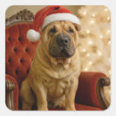 Recherche de chien shar pei autocollants Mignon