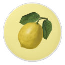 Recherche de citron boutons et poignées de porte Illustration